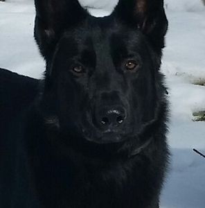 Meet your Posher, Barbara